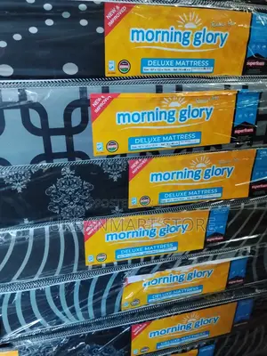 4x6 Morning Glory Deluxe 8-Inch High Density Mattress