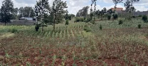 Kenol-Gathanje Estate Plot