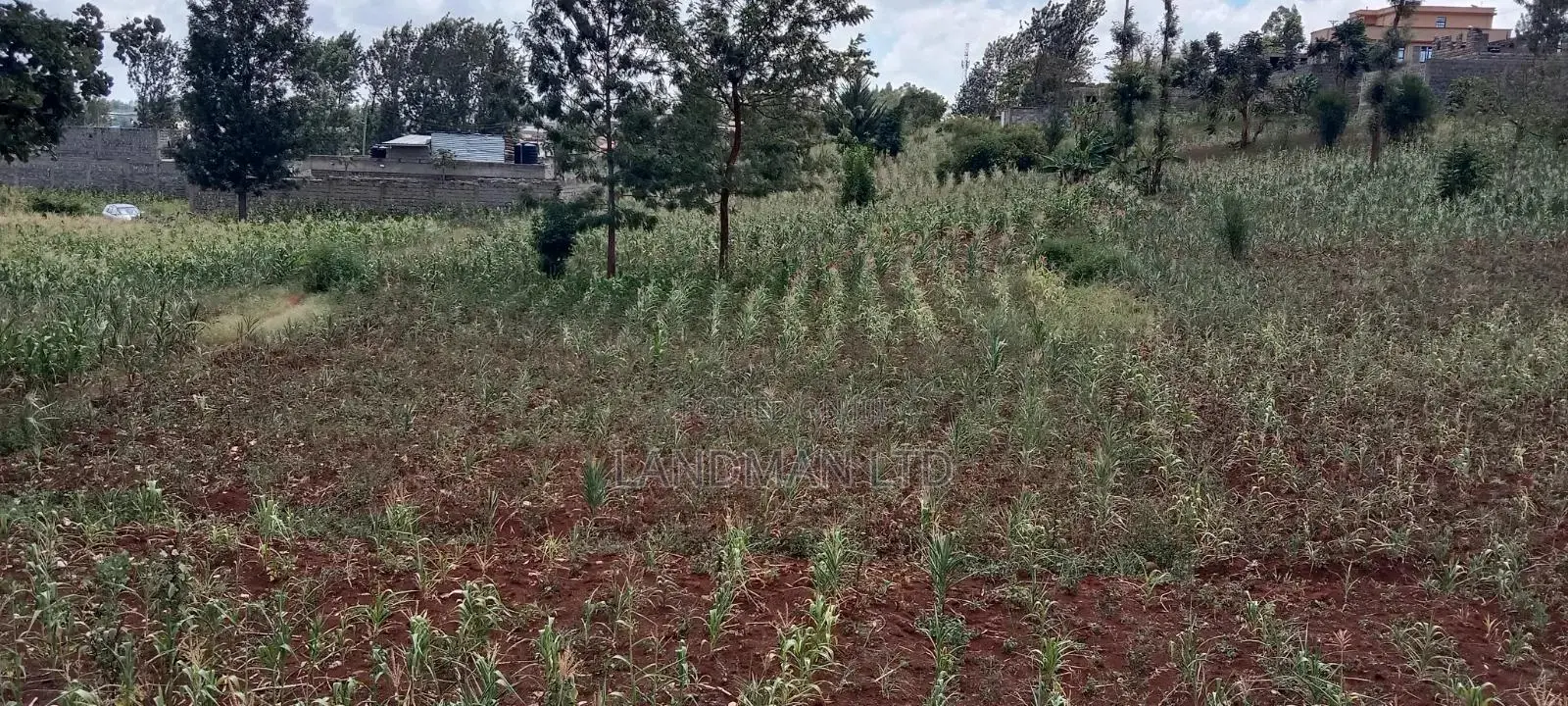Kenol-Gathanje Estate Plot