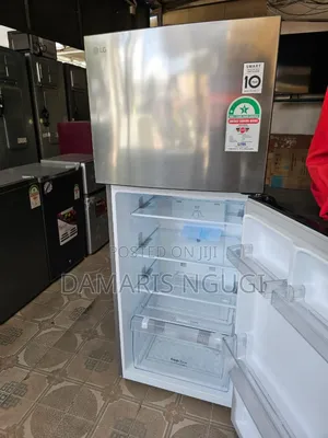 Inverter Lg Fridge ( Frost Free)