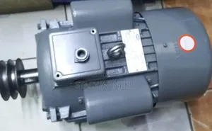 Heavy Duty Electric Motor