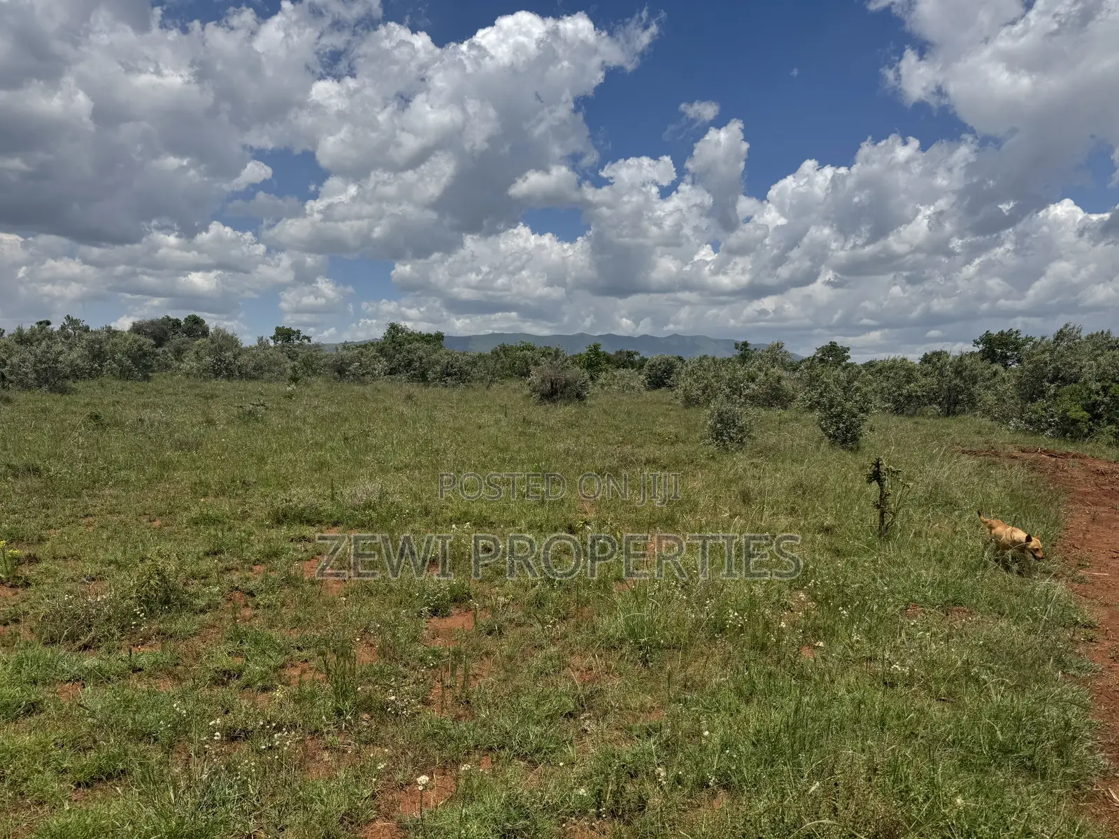 1/8 Acre Maroroi