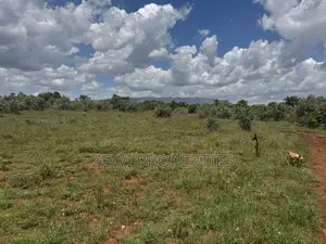 1/8 Acre Maroroi