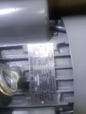 Newly Restocked Asynchronous Motor