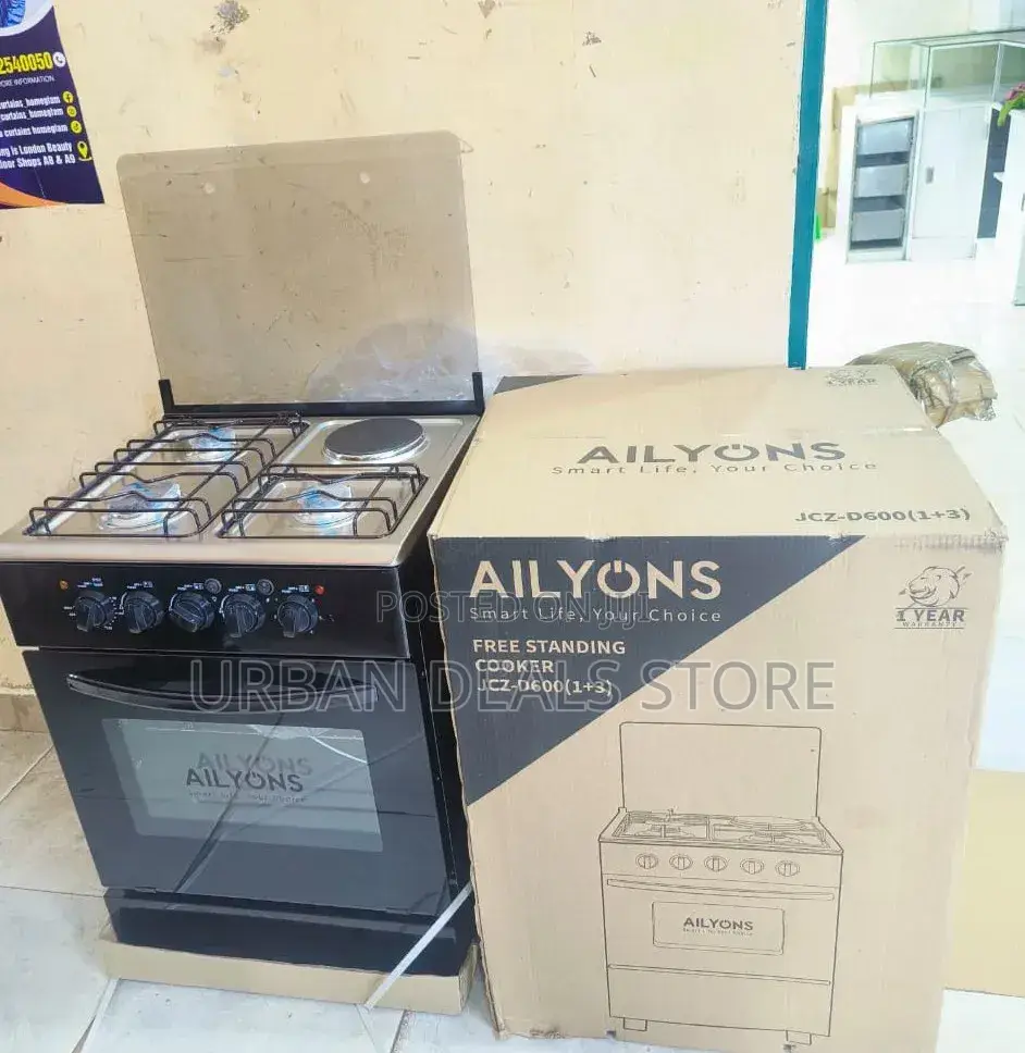 60×60 Ailyons 3+1 Standing Cooker