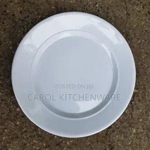 12 PCS Melamine Plate