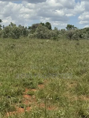 1/8 Acre Maroroi