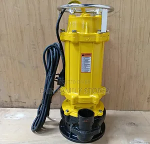 2hp 2"Sewage Pump