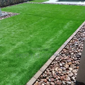 Own Compound Backyard Exit Artificial Grass