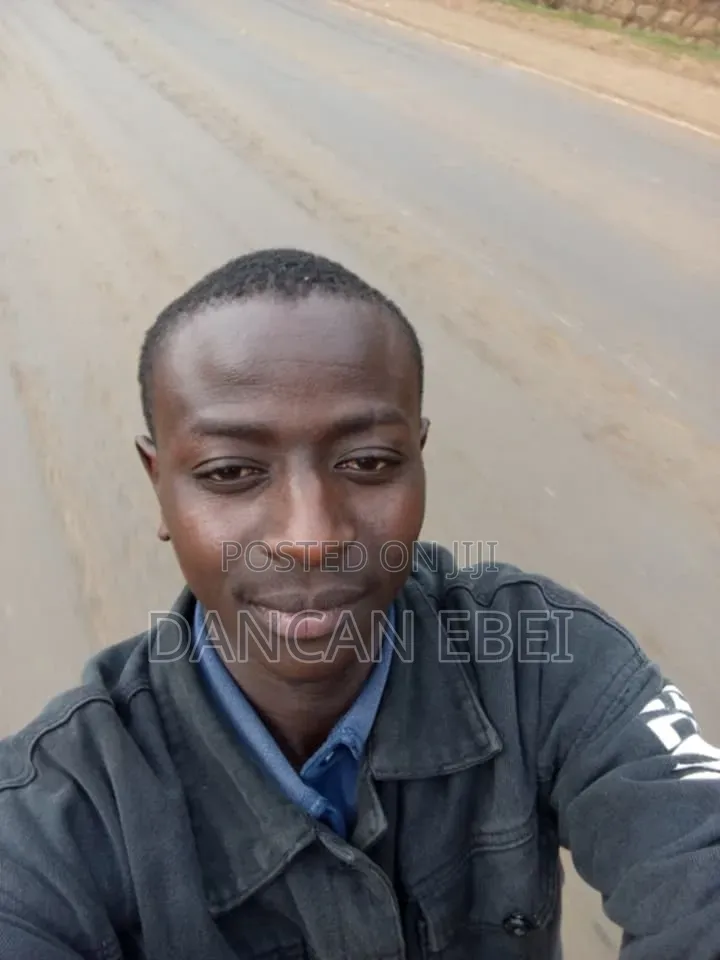 Driver Looking Job