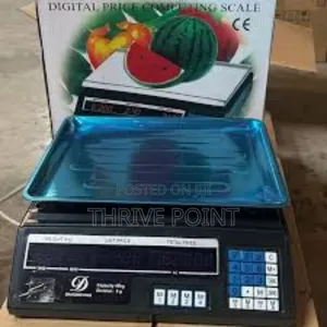 Digital Scale Armless