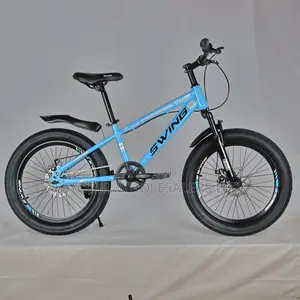Fatbike Swing Kids Size 20 With Mechanical Disk Brakes