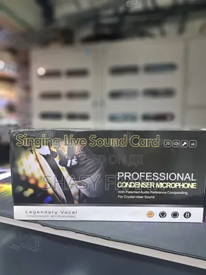 Professional Condensing Microphone