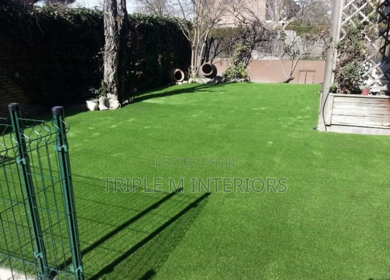 Backyard Lawn Style Grass