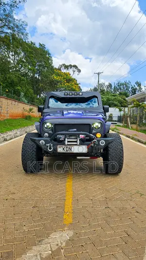 Jeep Wrangler 2018 Purple