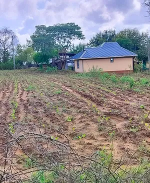 1⁄8 Acre Matuu Ready Title Plots at