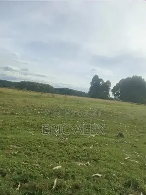 Land for Sale Eldoret Town(1/4acre)