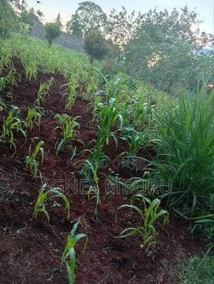 Plots for Sale