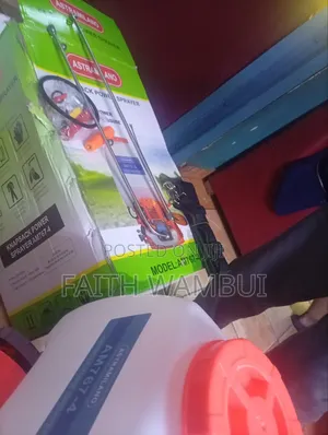Powerful Engine 4 Stroke Engine Powered Knapsack Sprayer