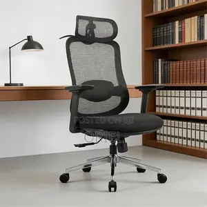 Ergonomic Chairs : High-Back Padded Ergonomic Office Chair
