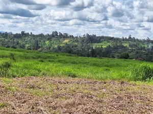 20 Acres Along Kiambu Limuru Road for Sale