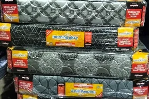 Mattress 10 Inch Quilted Medium Density 5*6 Morning Glory