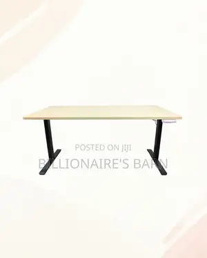 Boost Workflow - 1600x800mm Standing Desk Stable Dual-Monitor Support
