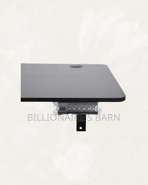 Upgrade Your Setup - Standing Desk Stable Dual-Monitor Support