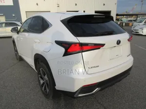 Lexus NX 300 AWD 2018 Pearl