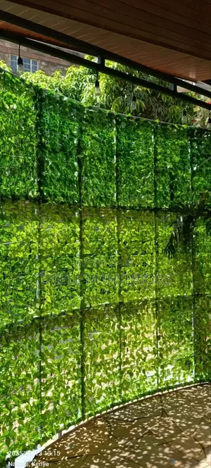 Backyard Privacy Green Divider