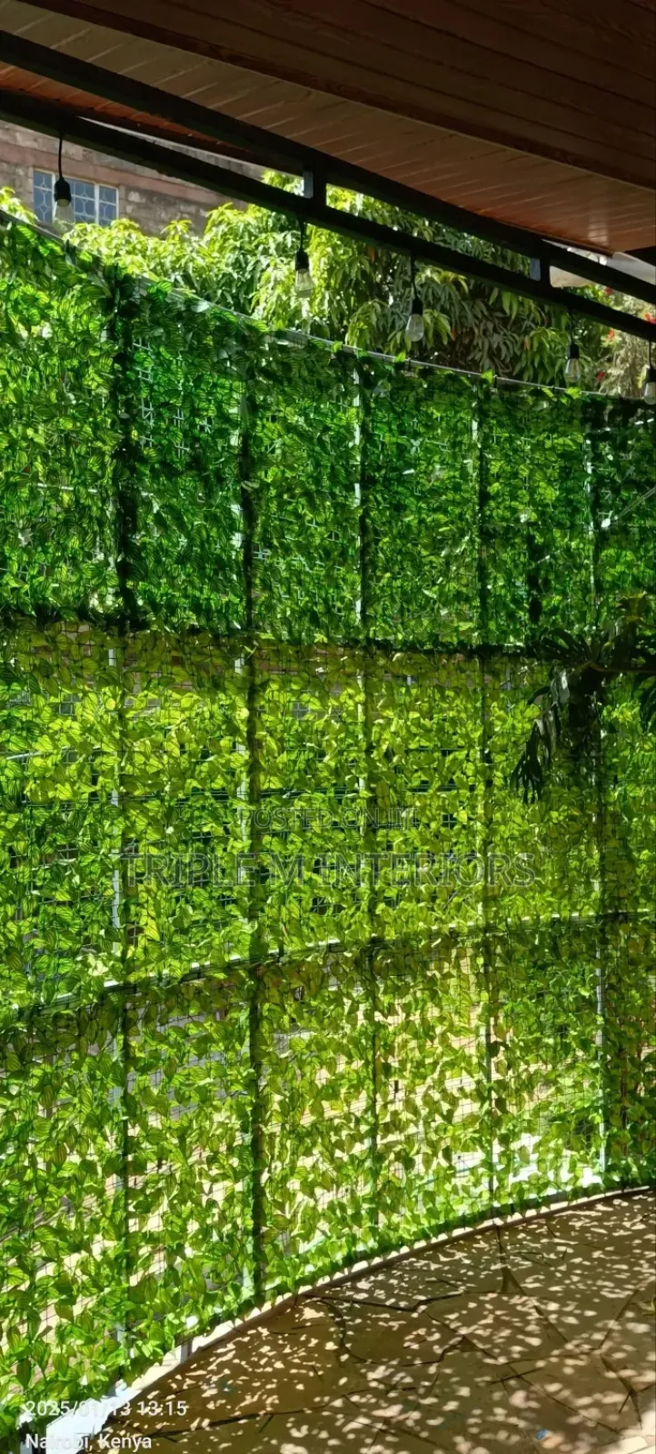 Backyard Privacy Green Divider