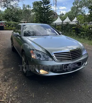 Mercedes-Benz S-Class S 320 CDI (W221) 2007 Gray
