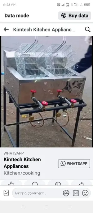 Double Gas Fryer