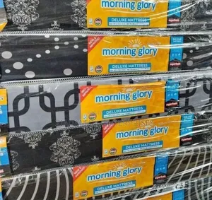 Morning Glory 3.5×6 – 6 Inch Medium Density (Plain