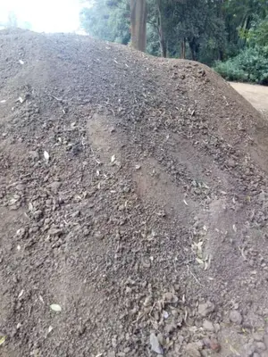 Goat Manure