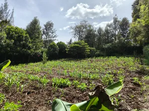 3/4 Acre Piece of Land for Sale in Maragara Road, Ngong