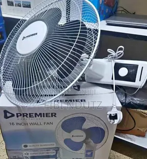 Premier Modern Design Wall Fan Meets Powerful Performance