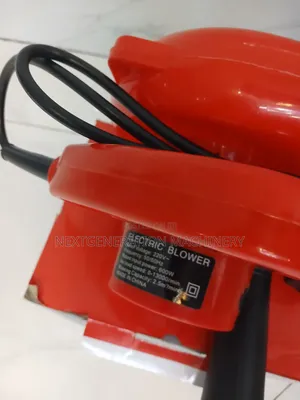 Professional Blower