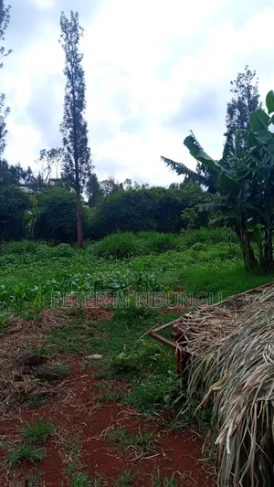 Gatundu Mutomo- Prime One Acre on Sale, Redsoil and Title