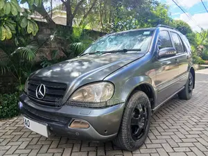 Mercedes-Benz M Class 2003 Gray