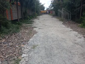 Quarter Acre Land 100*100 in Syokimau for Sale