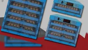 256 Eggs Automatic Ac/Dc Incubator – Commercial Poultry Use
