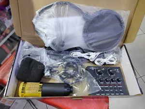 Professional Bm-800 Condenser Microphone Bundle With V8 Livesound Card