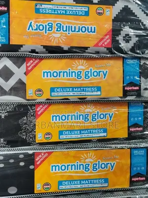 Morning Glory 4×6×8 Quilted Foam Mattress High Density