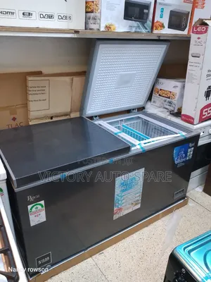2 Door Roch Deep Freezer