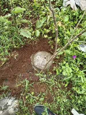 Plot for Sale 40 by 60 With Ready Title Deed Located in Gachie Kihara