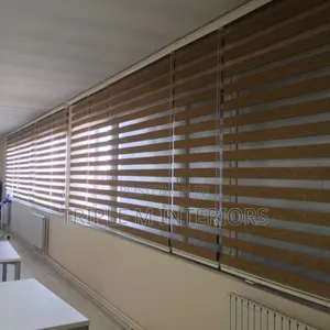 Luxury Dual-Layer Zebra Blinds Designs