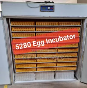 Automatic Eggs Incubator 5280 Incubator