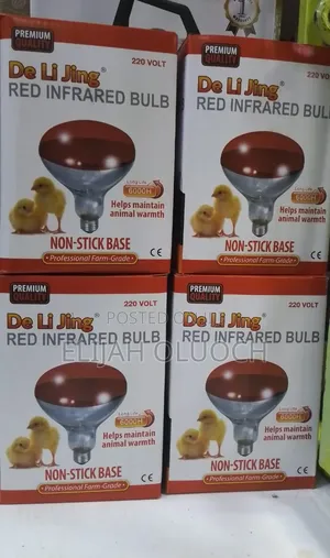 Chicken Bulb