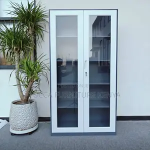 Office 2-Door Lockable Glass File Cabinet